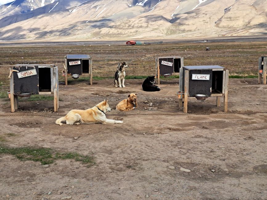 Spitzbergen / Svalbard (20 giugno/ June 20)