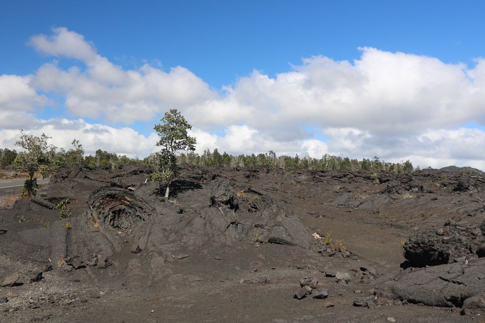 Wir besuchen den Kilauea Vulkan