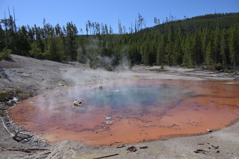 Norris Geyser Basin