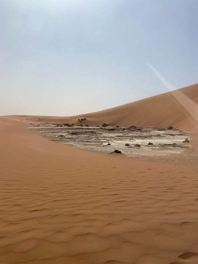 Desierto de Namibia 🏜️