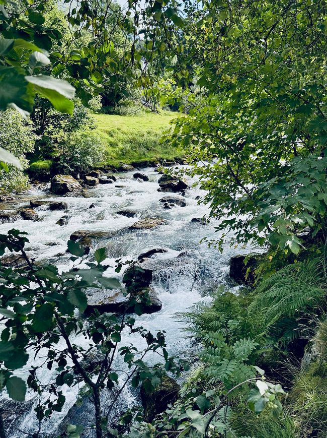 Pure idyll