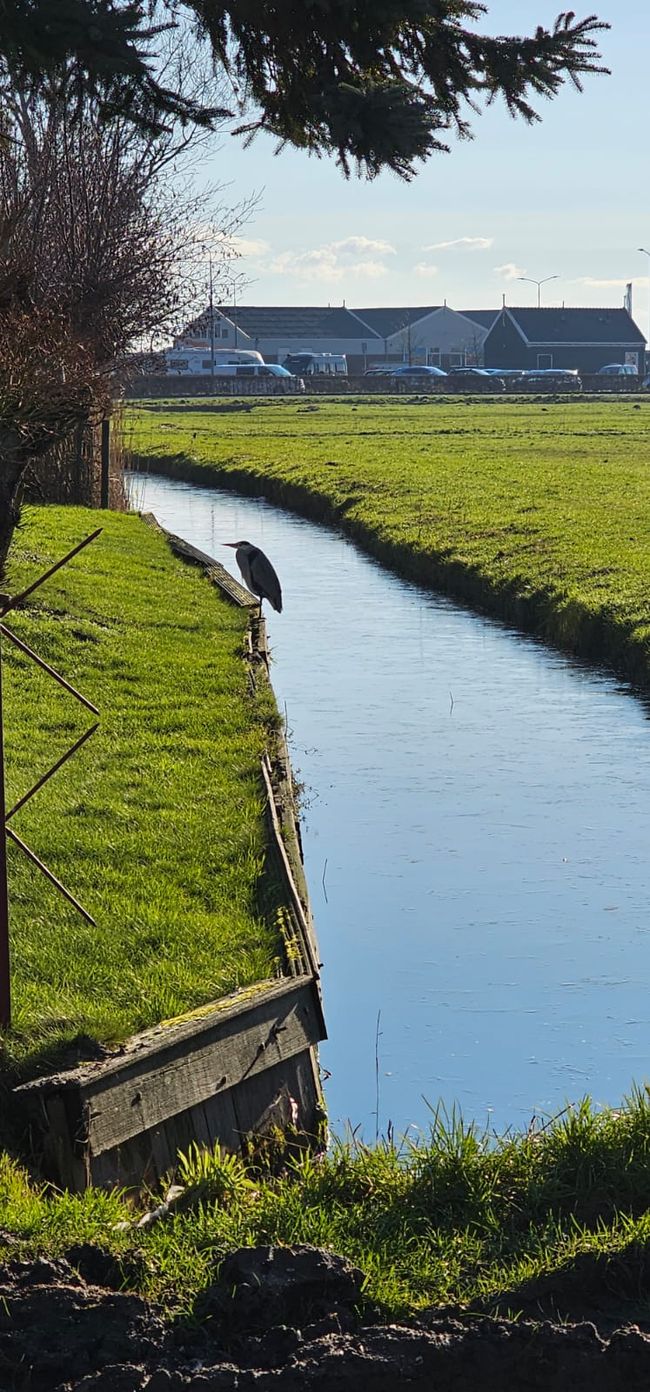 Marken près d'Amsterdam - tout simplement magnifique !