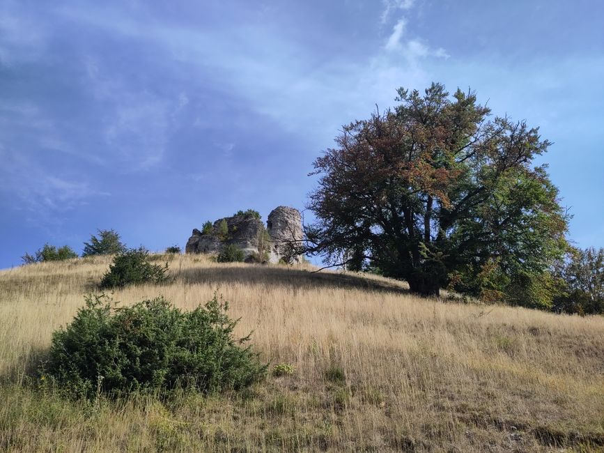 Ruinen (hier Burg Schenkenstein)