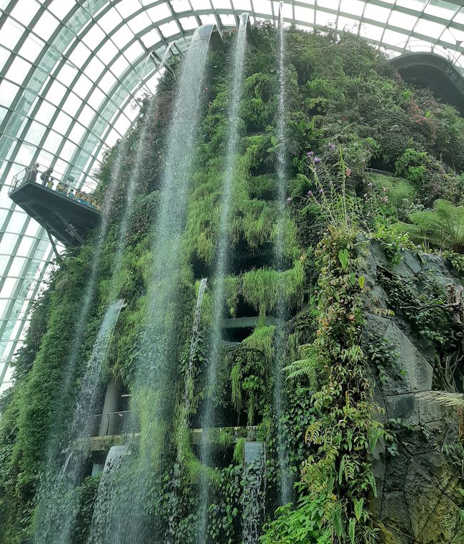 - Singapur & Tasmania 2019 -
