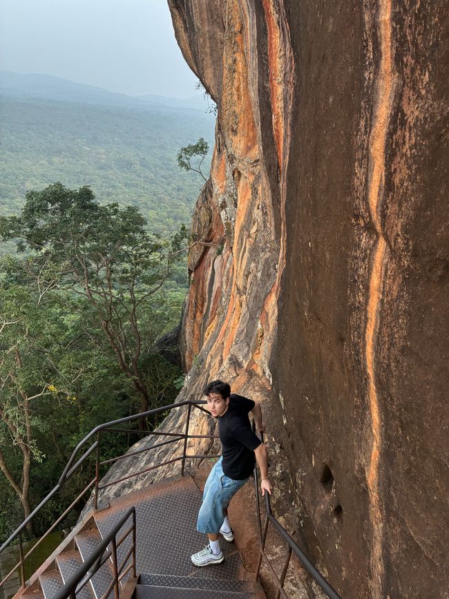 Peur du Lions Rock