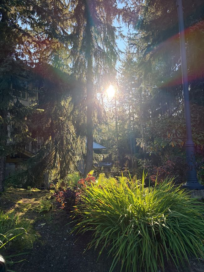 Kanada 4/21 - Vancouver nach Whistler