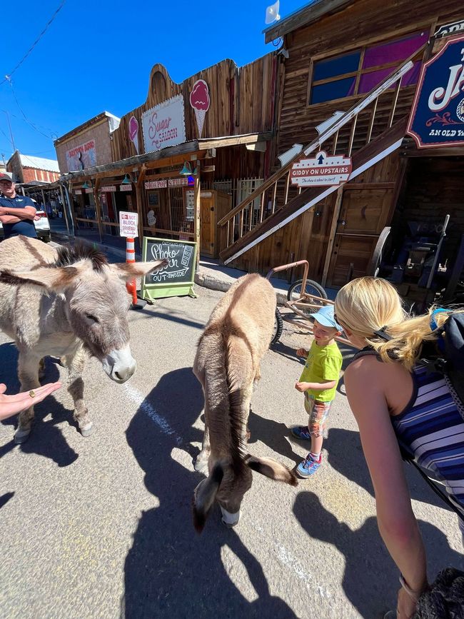 Oatman
