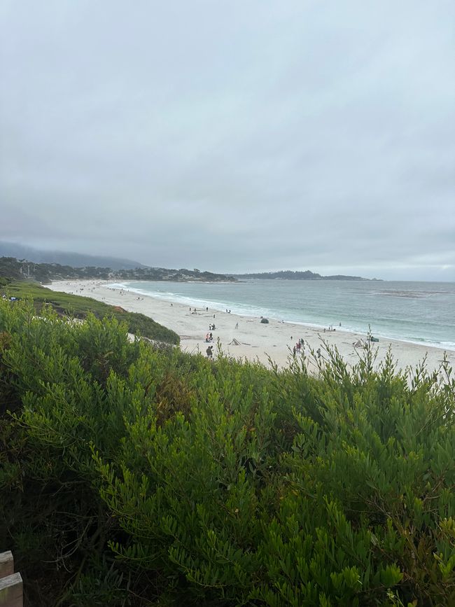 Sigue adelante por la costa Santa Cruz/Monterey/Big Sur/Morro Bay/Santa Bárbara/Malibú