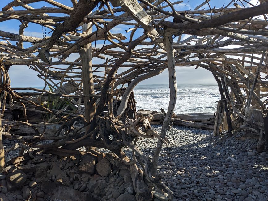 Beach house made out of drift wood.