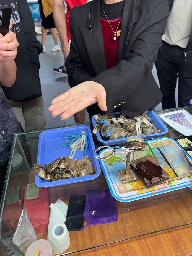 Tag 3 - Hanoi: Glitzereinhörner, Affen und die Kunst der Perlenzucht