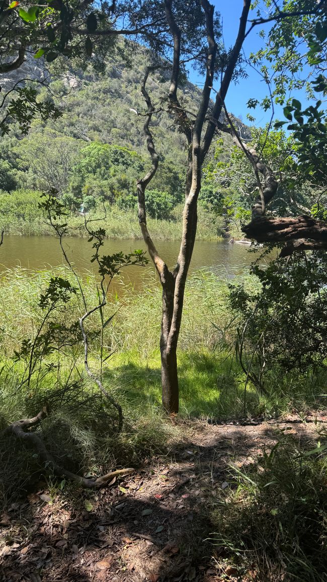 De la safari al mar