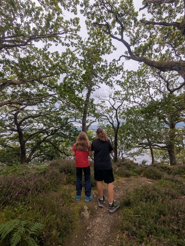 Lac Lomond