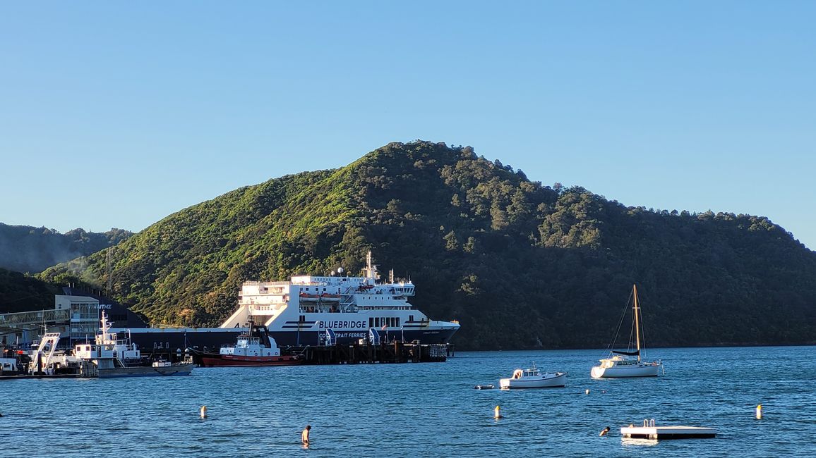 29.Januar-27.Februar 2025 Neuseeland
16.Februar