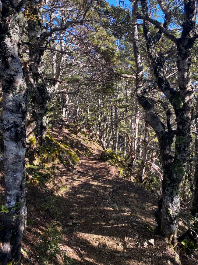 从小屋徒步旅行到山脊徒步旅行