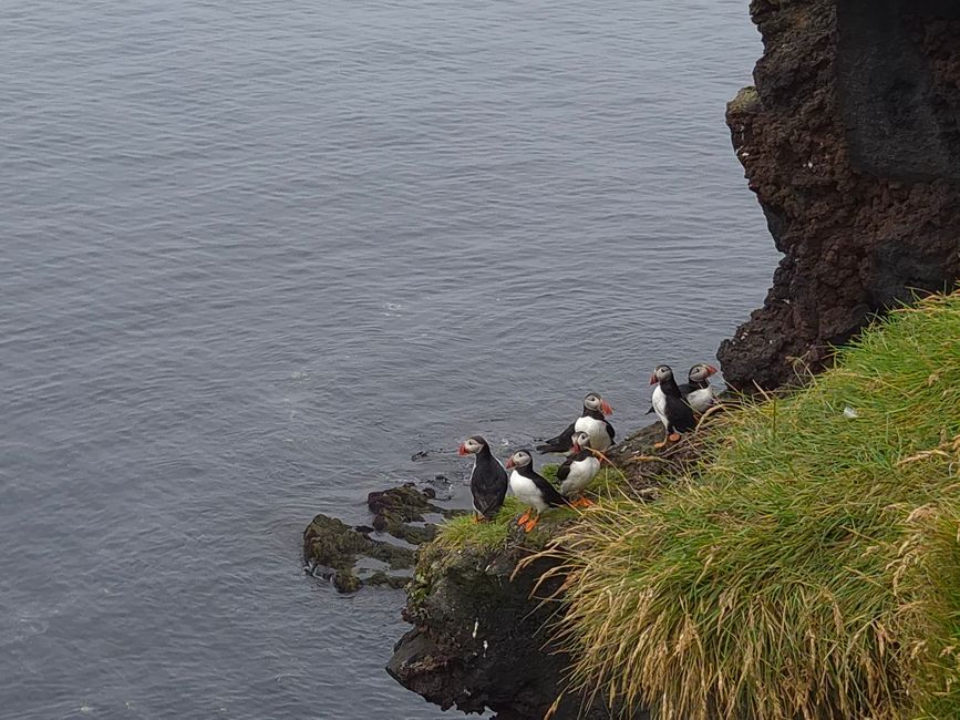 Vestmannaeyjar😎