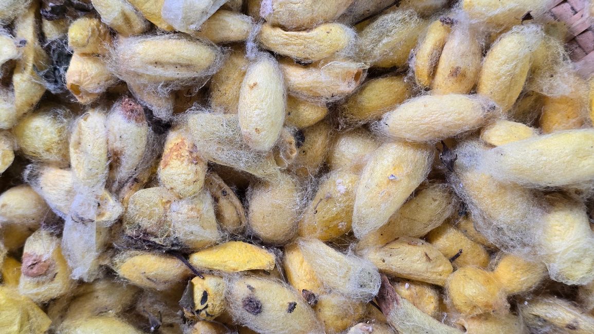 Silk Island Community Center