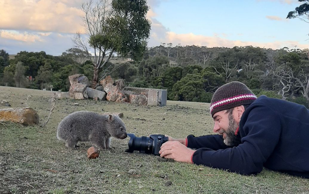 - Singapur & Tasmania 2019 -