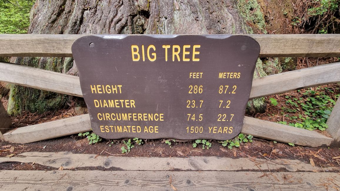 USA West Coast Roadtrip - Tag 7