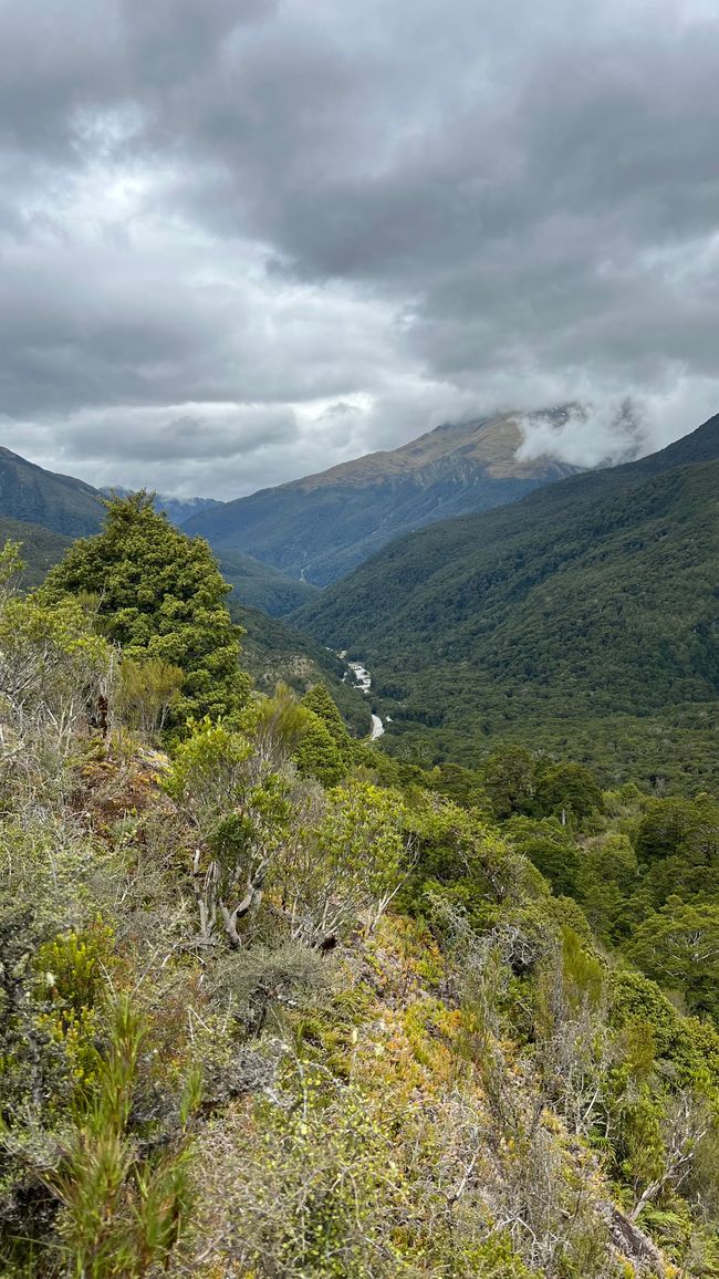 Haast Pass Lookout