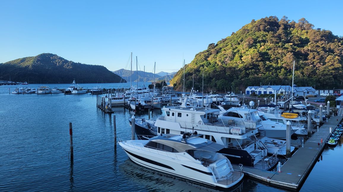 29.Januar-27.Februar 2025 Neuseeland
16.Februar