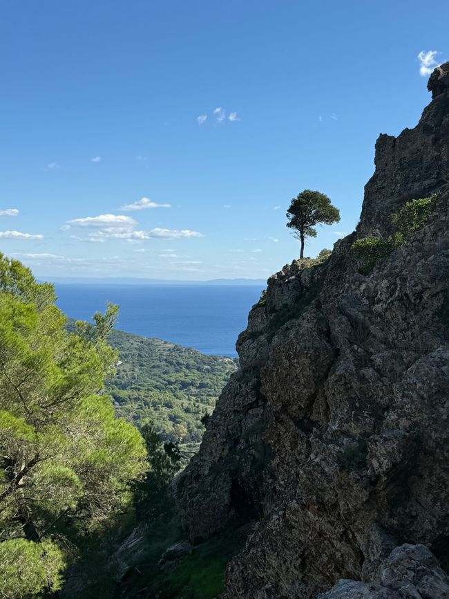 Caminata al Monte Val di Capanne (Elba)