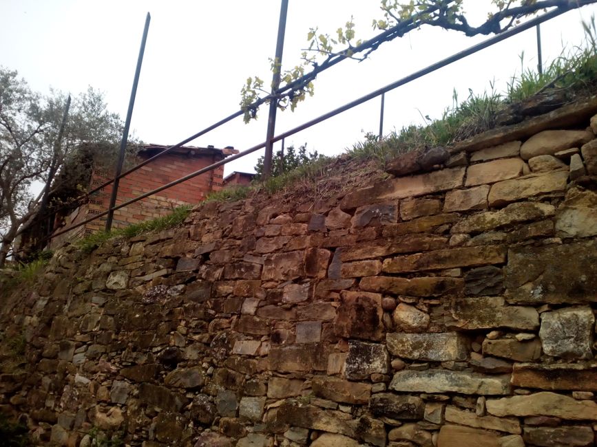 Fotos de Sant Joan de Vinyafrescal (la Pobla de Segur, Pallars Jussà, Lleida)