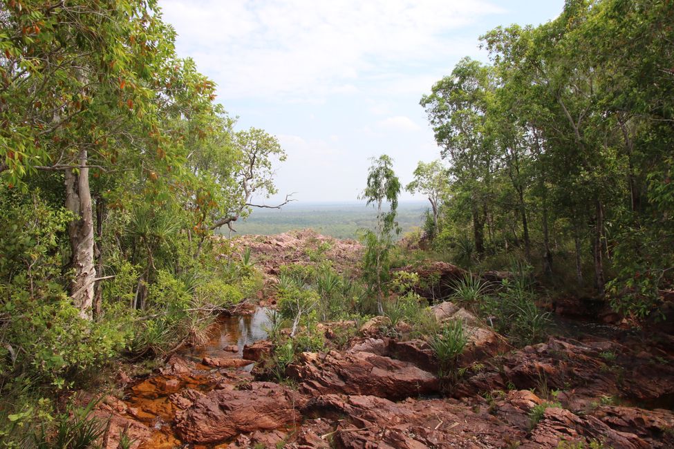 Day 27: On the road in Litchfield National Park