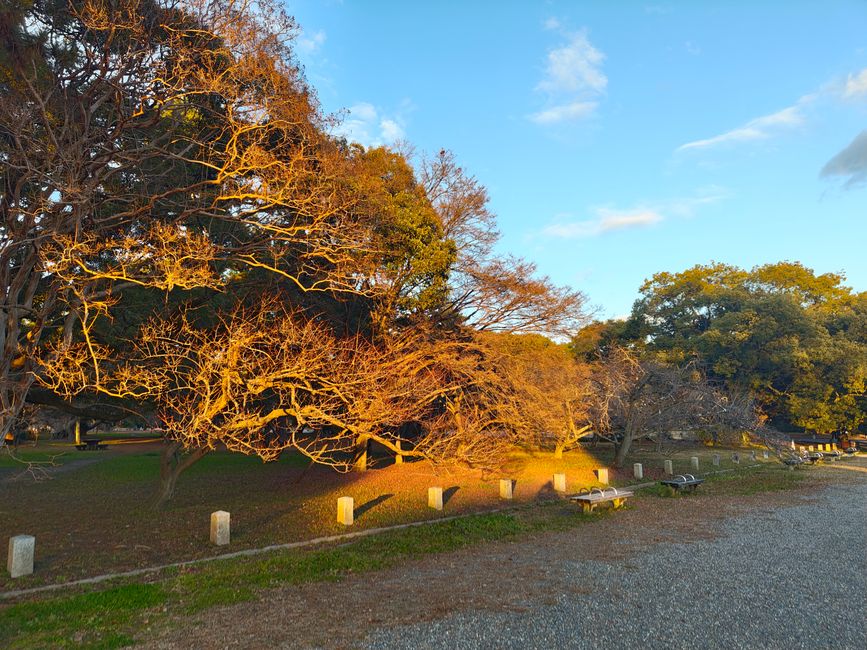 Notre voisin à Kyoto – le jardin national de Gyoen