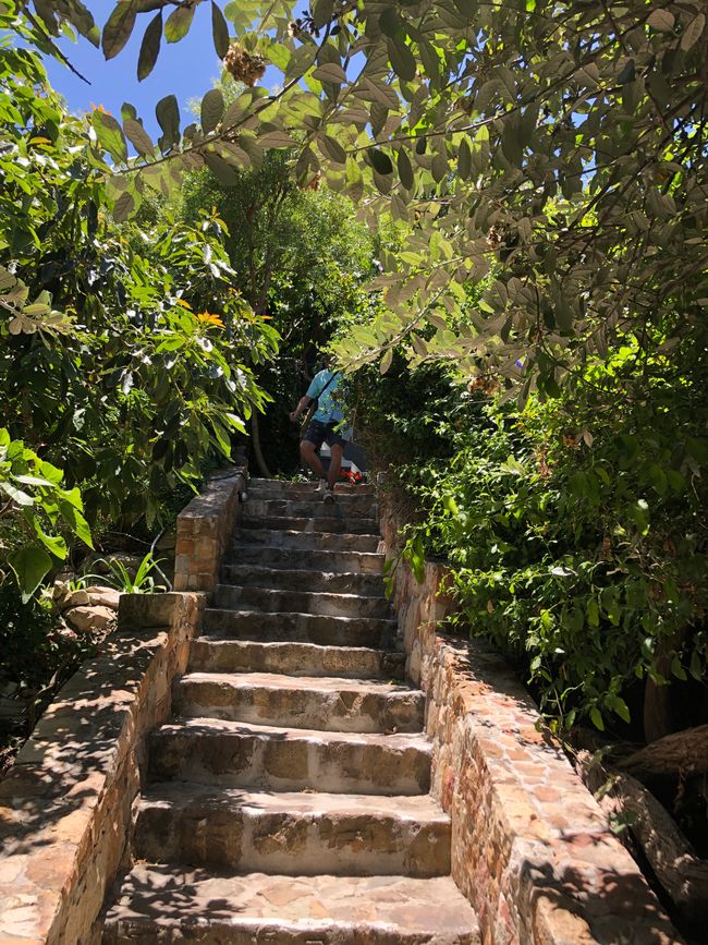 ..... die Treppen zum Paradies