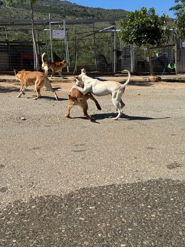 Der letzte Tag 