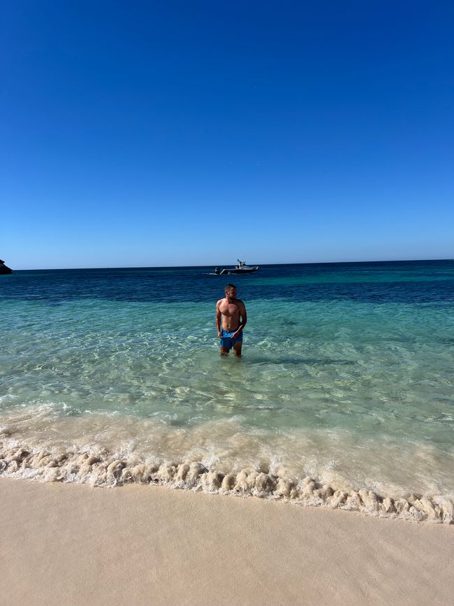 15.03.2025-26.03.2025 / Perth