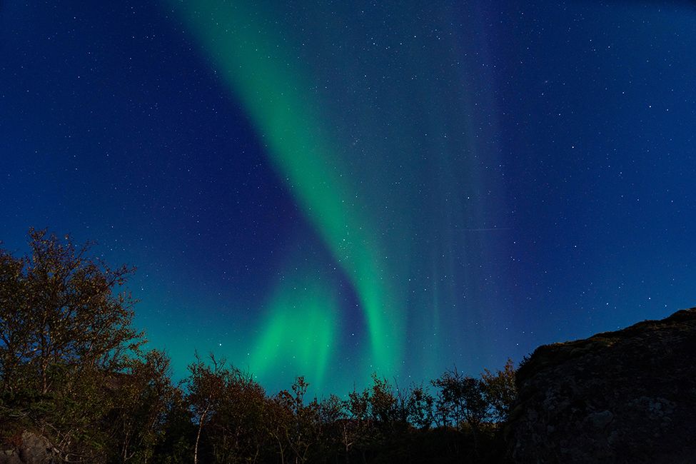 Einmal Lofoten und zurück