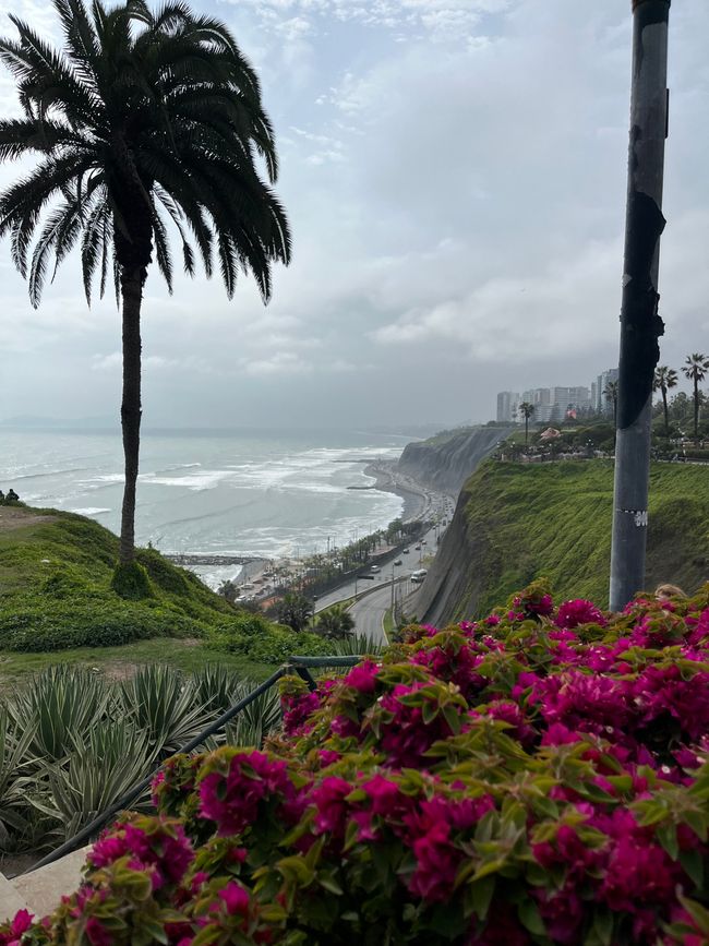 Tag 26

Lima