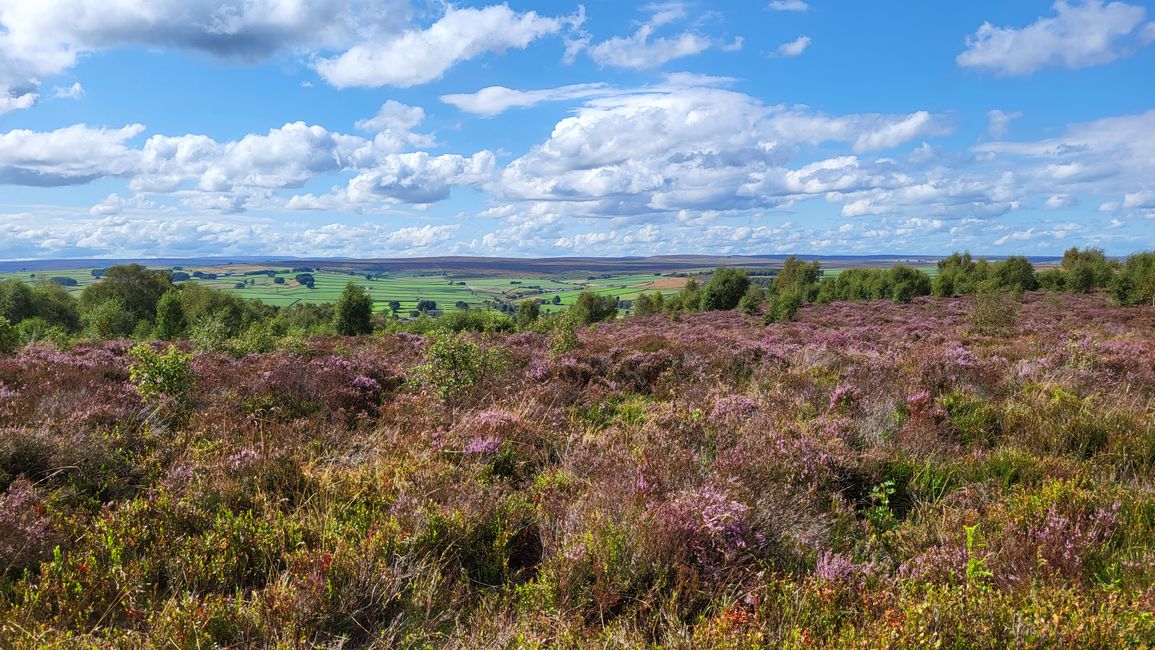 Brimham Rocks