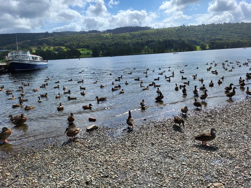 Coniston Water