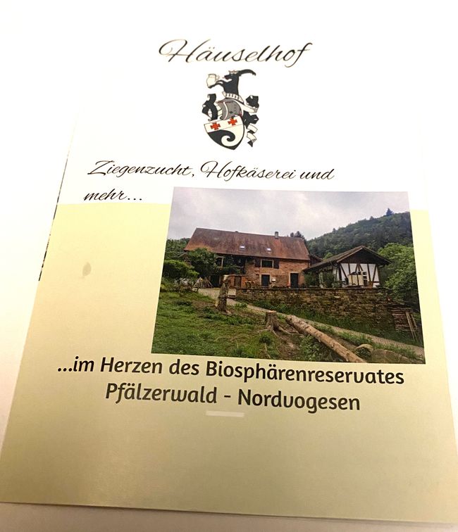 Bei ihnen wohnt sogar ein Ostfriesisches Milchschaf!