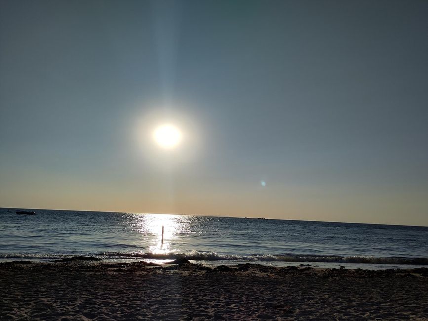Gouville-sur-mer und die Austernzüchter