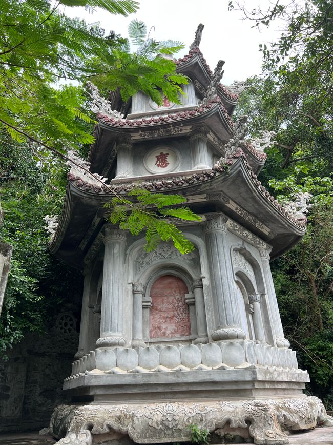 Tag 5 - Hoi An: Ein Tag mit Affen, Einhörnern und vielen Überraschungen