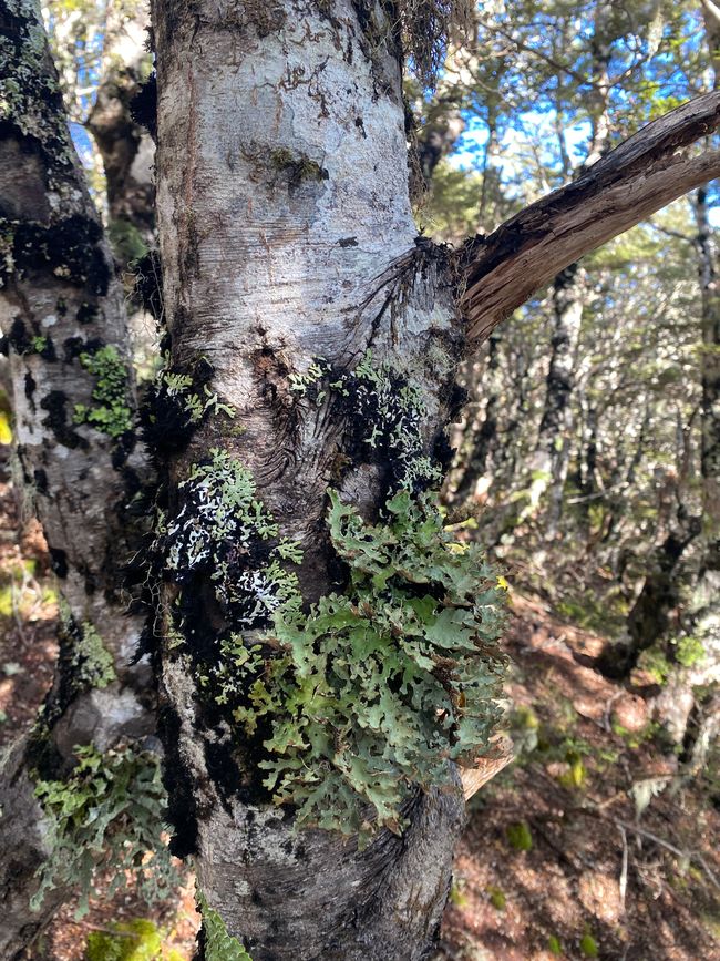 从小屋徒步旅行到山脊徒步旅行