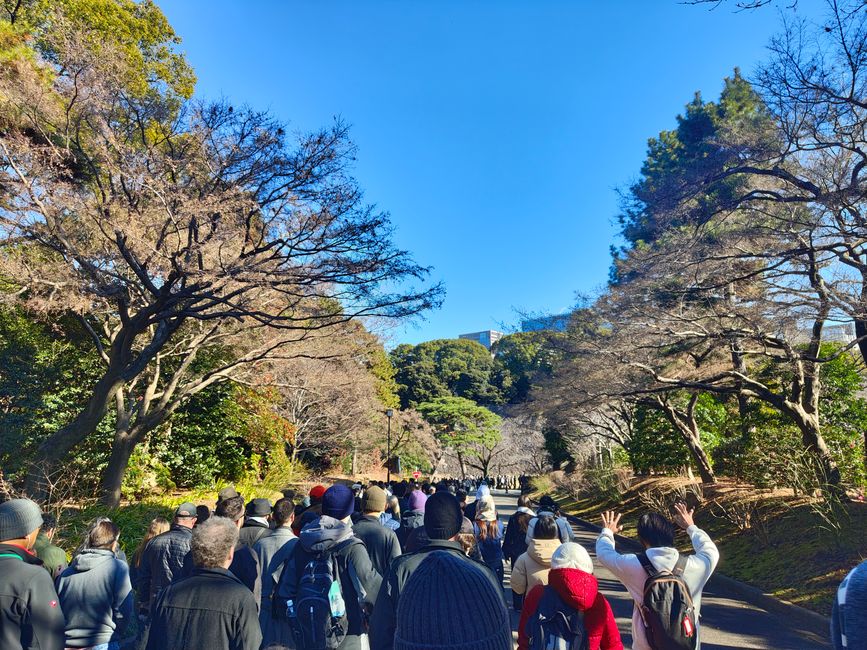 Wieder einiges los hier, aber zum Glück nicht zu sehr gedrängt