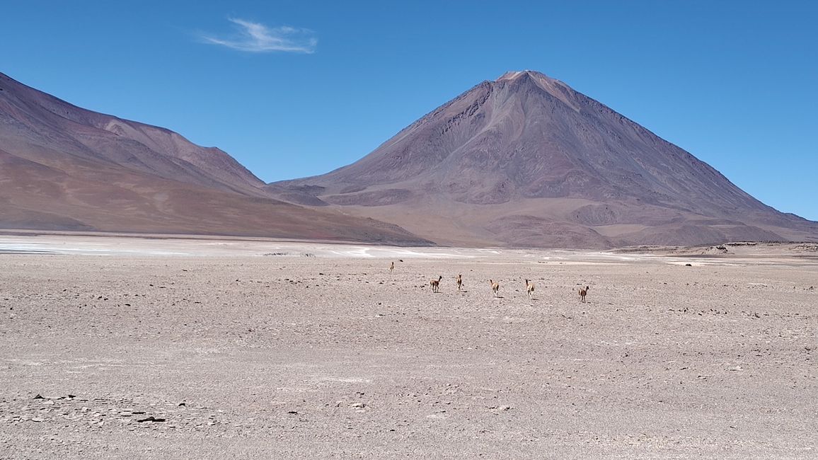 Bolivia, Tour de Lagunas