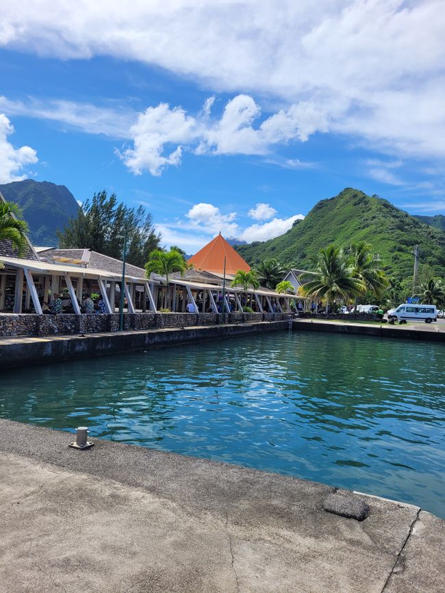 Día 67 de 175: Crucero alrededor del mundo - Moorea / Polinesia Francesa