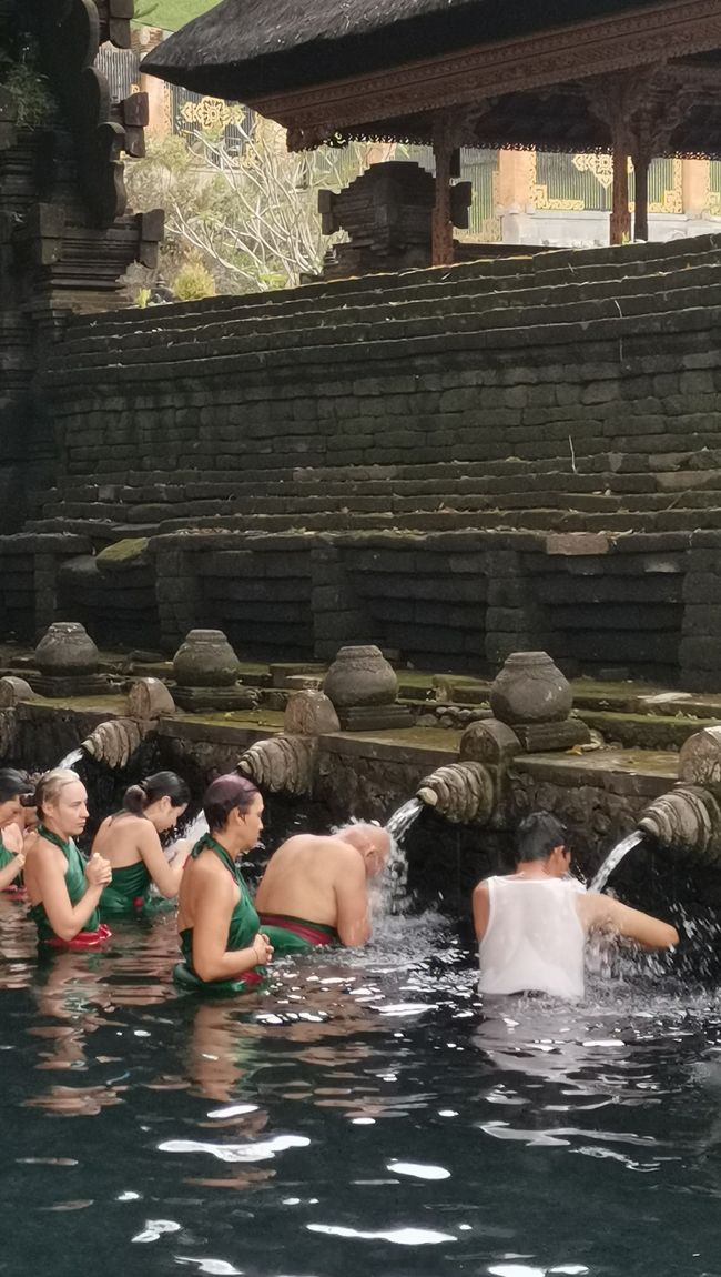 Bali - Reisfelder und Surfhotspot