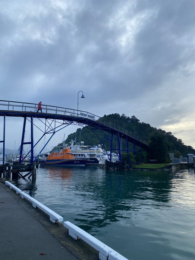 Off to the North Island