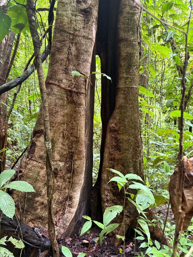 Unterwegs in Costa Rica
