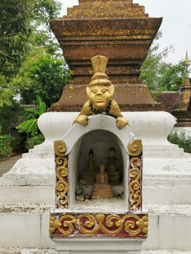 ... with friendly guardian ...