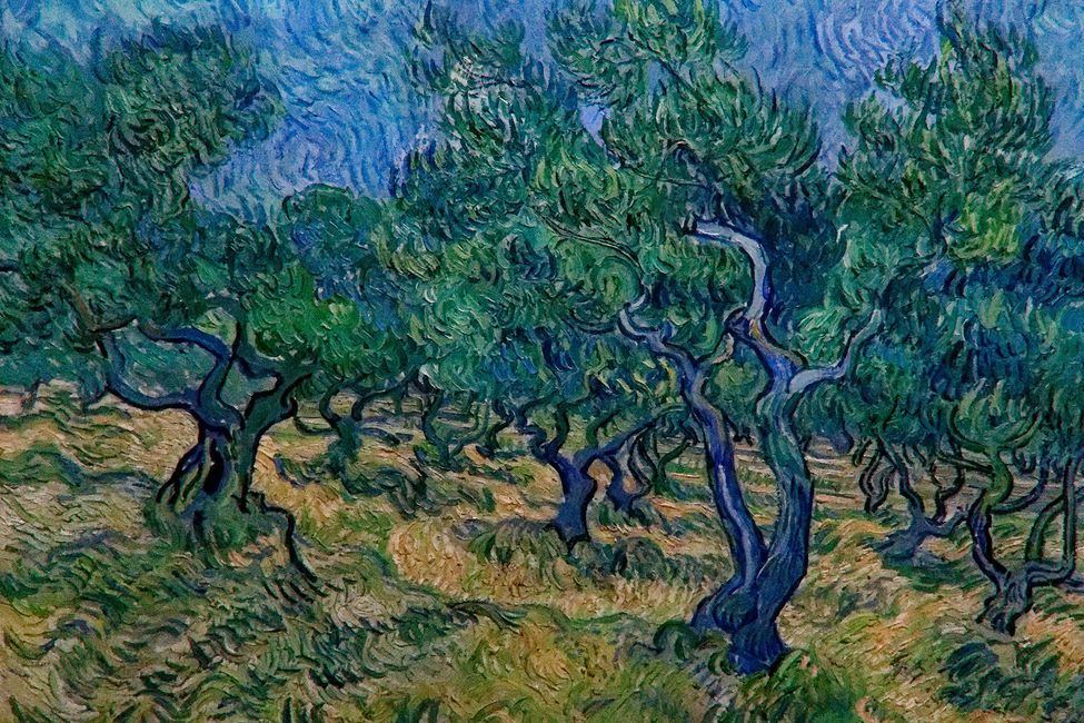 Vincent van Gogh: Olivengarten