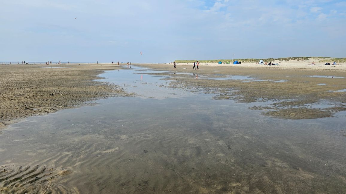 Dagebüll/ Sonderstrand Insel Römö Dänemark 