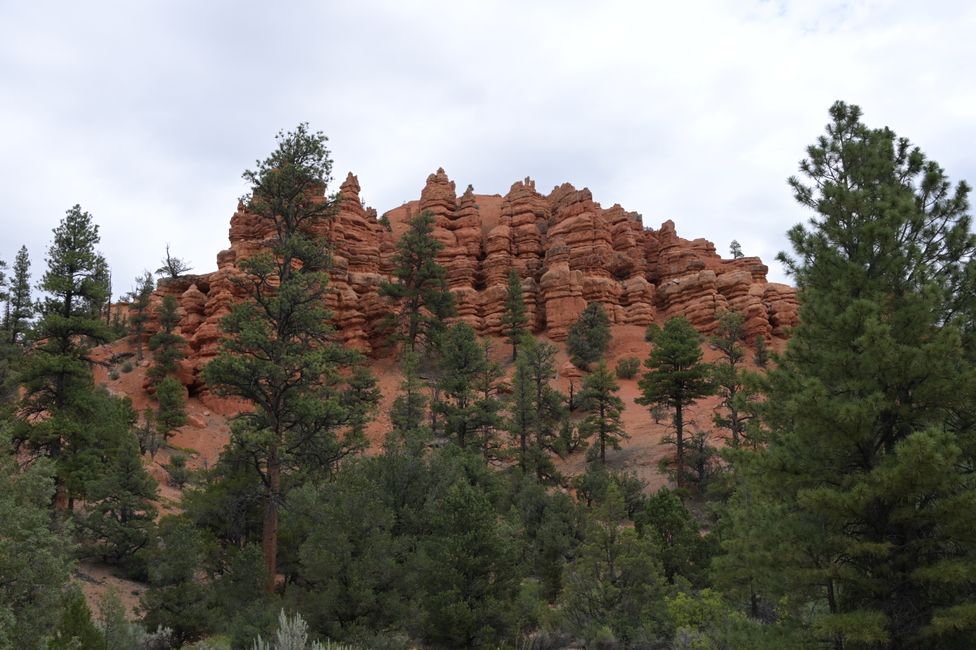 Red Canyon