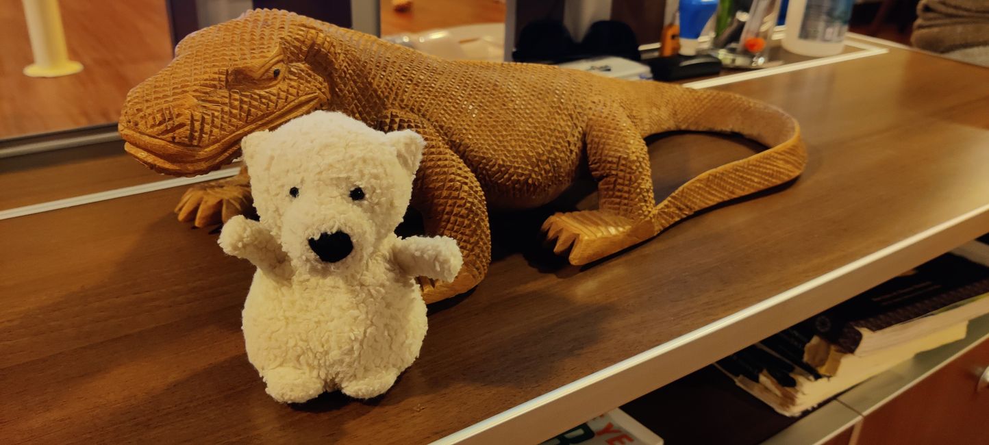 Travis auf Tauchsafari in Raja Ampat